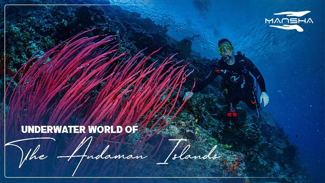 Underwater world of The Andaman Islands